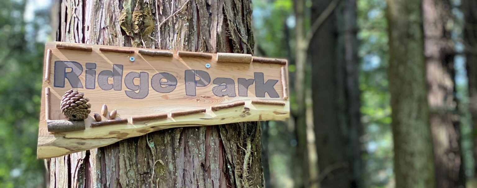 �ڥ���󥻥��Ԥ����ա�2026ǯ4��19��������TOS2026_Round3_��­���ڥ���󥻥��Ԥ����ա�2026ǯ4��19��������TOS2026_Round3_��­��